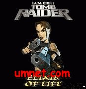 game pic for tomb raider